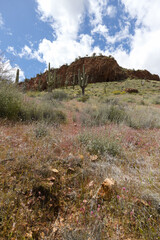 Views from the lower cliff dwelling trail, Tonto National Monument, Arizona