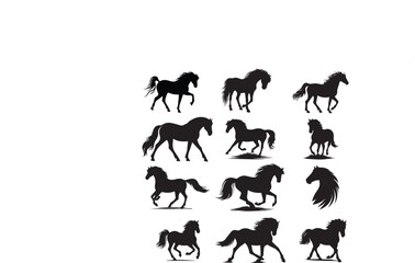vector set of horses in black and white