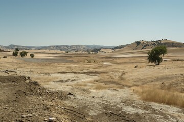 Dry, arid landscape with rolling hills and lone trees