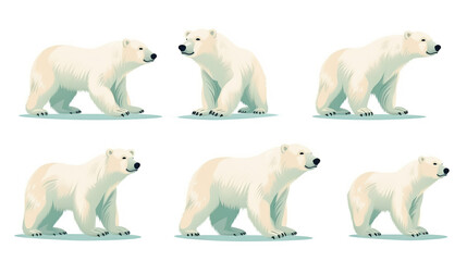 A solitary polar bear against a stark white background