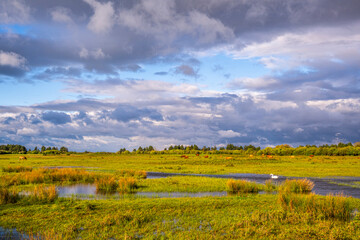 Fototapeta premium Le marais du Crotoy sous un ciel chargé en Baie de Somme