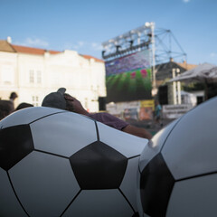 Football fan