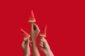 Female hands holding watermelon slices on sticks on red background