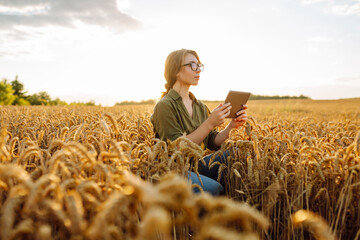 Young female worker standing in wheat field. Scientist analysing wheat quality, adding data to tablet. Growth dynamics.