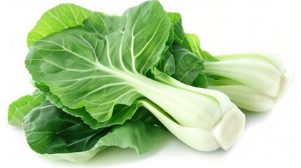 Fresh Bok Choy Leaf. Green Chinese Cabbage Salad Ingredient