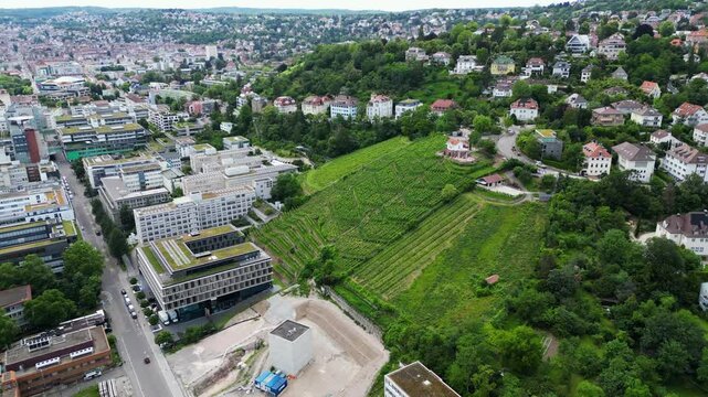 Weinacker mitten in Stuttgarts Innenstadt, Deutschland.