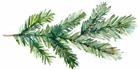 Fototapeta premium Watercolor painting of fir tree branch with green needles. The painting has a serene and calming mood, with the blue and green colors blending together to create a peaceful atmosphere