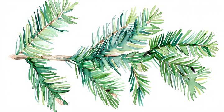 Watercolor painting of fir tree branch with green needles. The painting has a serene and calming mood, with the blue and green colors blending together to create a peaceful atmosphere