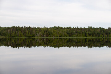 reflection of trees in water