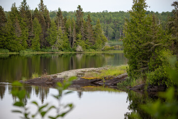 Island in lake, forest