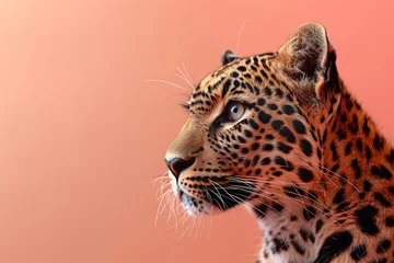  A close-up profile of a leopard against a coral background, highlighting the intricate patterns and textures of its fur, and its intense, focused expression © Tanicsean