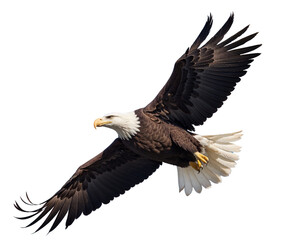 A powerful eagle soaring high in a clear blue sky, symbolizing freedom and strength in its natural habitat isolated transparent image
