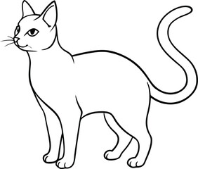 Cat vector illustration