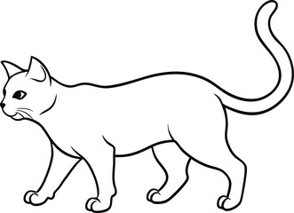 Cat vector illustration