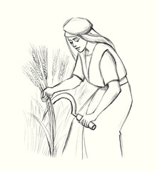 Pencil drawing. Woman with sickle reaps wheat