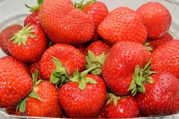 photo on the background image of strawberries