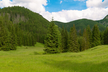 Mountain glade Jaworzynka in the Tatras, Poland. Beautiful summer landscape in the mountains © bykot