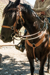 A cowboy riding a horse with a western saddle.