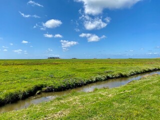 Spaziergang auf der Insel Hallig Hooge in der Nordsee vom Lorenzwarft zum Backenswarf  über das...