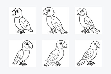 Set of Parrot full body vector line art illustration 