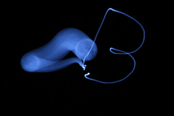 月の軌跡　満月　スーパームーン