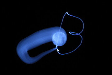 月の軌跡　満月　スーパームーン