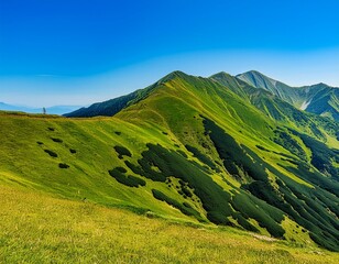 Fototapeta premium Mountainous ridges with green terrains and blue sky 