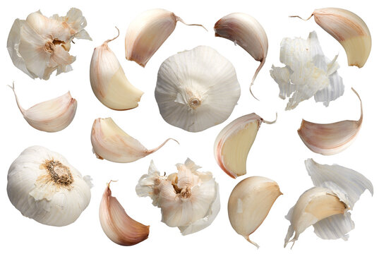Garlic gloves bulb collection - Ready to use Premium PNG Cutout Isolated image