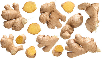 Fresh ginger roots plant - Ready to use Premium PNG Cutout Isolated image