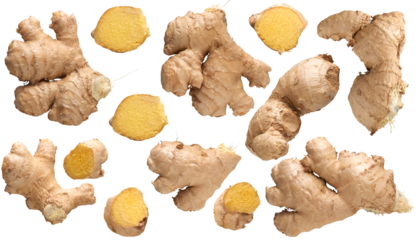 Fresh ginger roots plant - Ready to use Premium PNG Cutout Isolated image