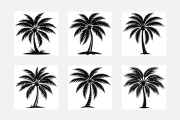 Vector logo and print design templates, summer palms, tropical hand drawn illustrations, tropical surfing concept, vacation and travel, palm trees or coconut trees set 