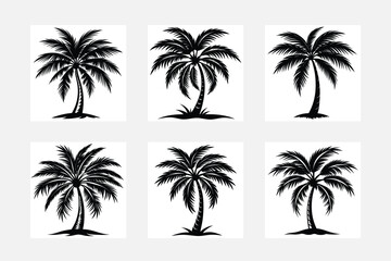 Vector logo and print design templates, summer palms, tropical hand drawn illustrations, tropical surfing concept, vacation and travel, palm trees or coconut trees set 