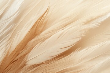 Brown chicken feather texture background