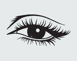 Obraz premium Eyelashes set on white background, girl, salon, vector illustration, mascara, illustration, beauty, eyelash, lash, vector, false, eye