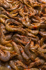 shrimp, shrimp fishing, cooking, seafood