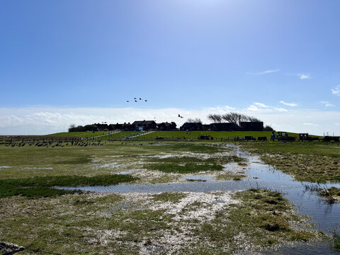 A wide shot of a traditional village built on a grassy dwelling mound rising above a coastal salt marsh under a bright blue sky.