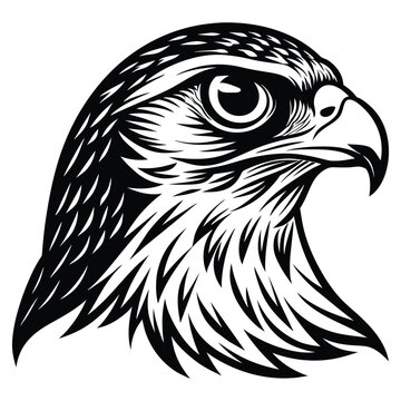 coloring book  minimalistic hawk head vector art illustration