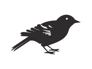 Black and white bird, vector illustration.	