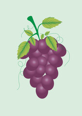 Grapes