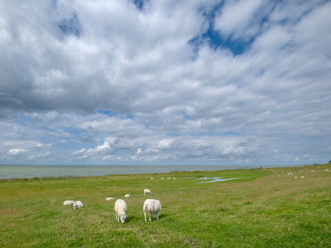 Roode Klif, Friesland Province, The Netherlands province, The Netherlands