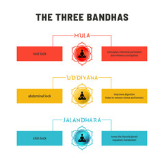 Infographic made in vector explaining 3 bandhas in yoga - Mula, Uddiyana, and Jalandhara. Set on plain backdrop, each bandha drawn as a lotus symbol and describes its physical location and benefits.
