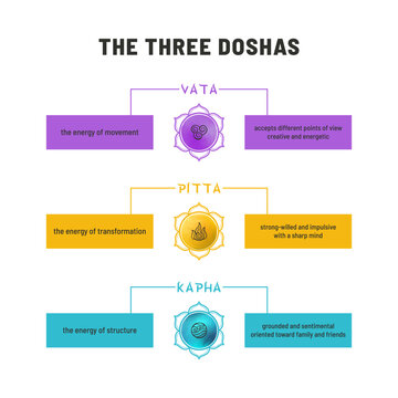 Vector infographic carefully detailing the three doshas in Ayurveda - Vata, Pitta, and Kapha. Each dosha is represented by a lotus symbol and describes its energy type and associated characteristics.