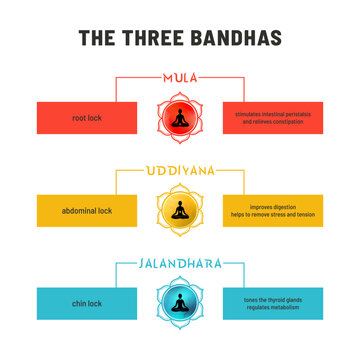 Infographic made in vector explaining 3 bandhas in yoga - Mula, Uddiyana, and Jalandhara. Set on plain backdrop, each bandha drawn as a lotus symbol and describes its physical location and benefits.