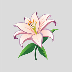 Color lily vector art illustrator 