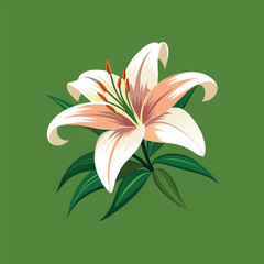 Color lily vector art illustrator 