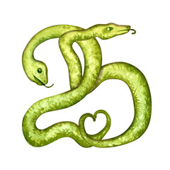 Obraz premium The number 25 of intertwined green snakes to celebrate a wedding anniversary, birthday in the year of the Green Wooden Snake for to the eastern calendar. Watercolor illustration for templates