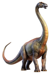 Obraz premium The Dinosaur Diplodocus Looks into the Frame Depicted in Full Height on a Transparent Background