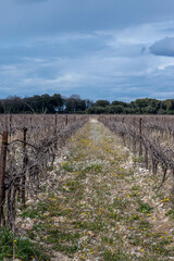 Obraz premium animaux