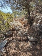 Unebener Wanderweg auf Sardinien
