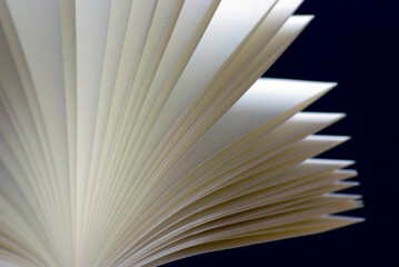 Graphic representation of fan book sheets